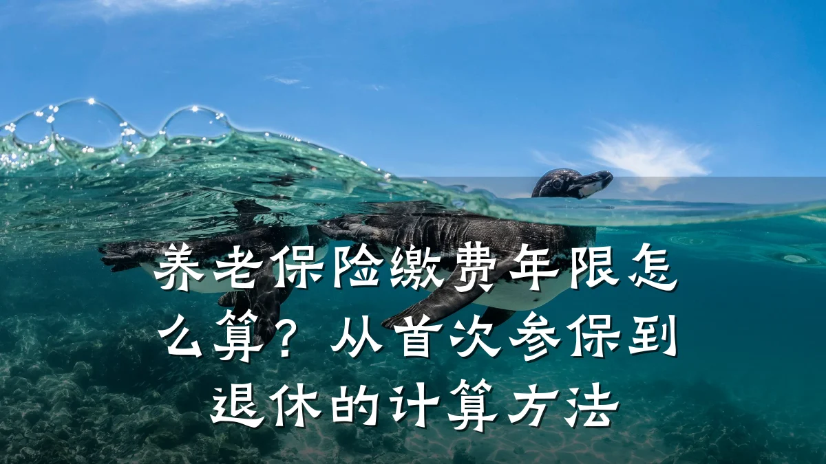 养老保险缴费年限怎么算？从首次参保到退休的计算方法