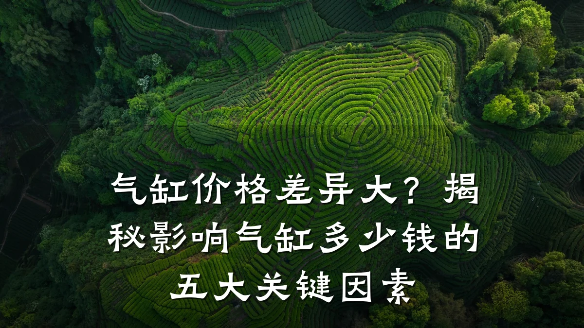 气缸价格差异大？揭秘影响气缸多少钱的五大关键因素