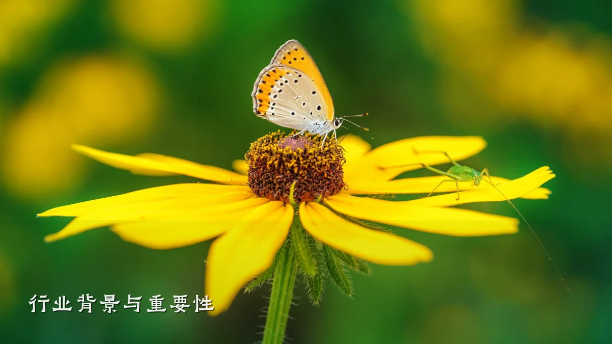 行业背景与重要性