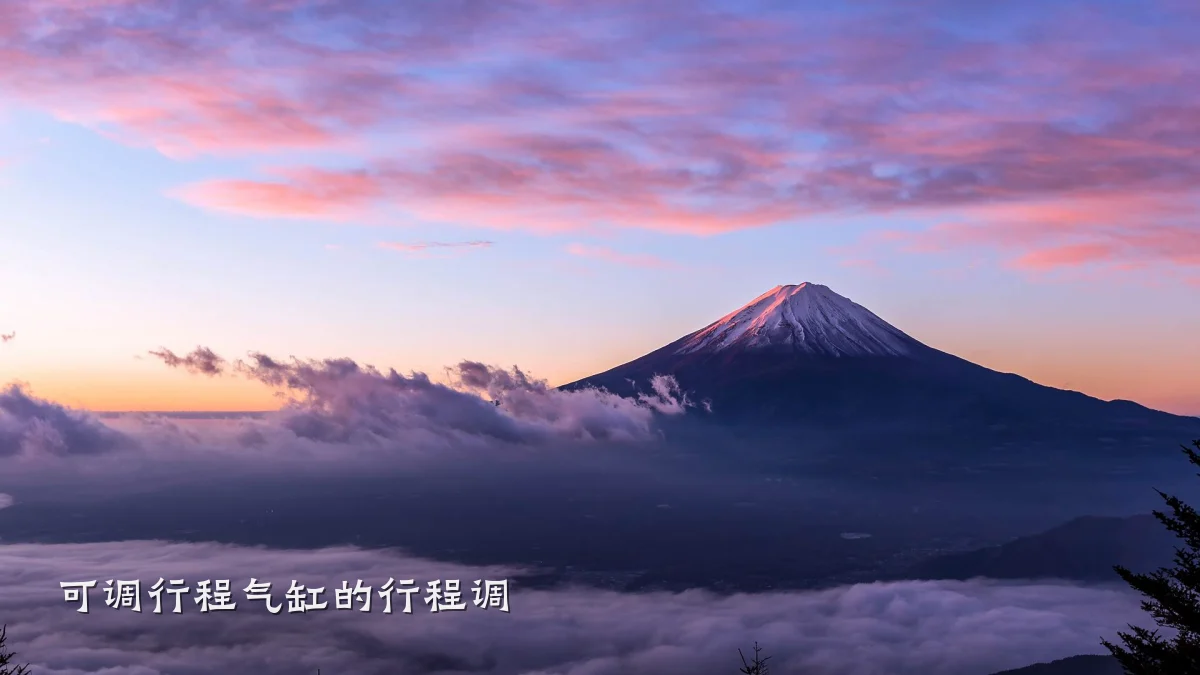 可调行程气缸的行程调