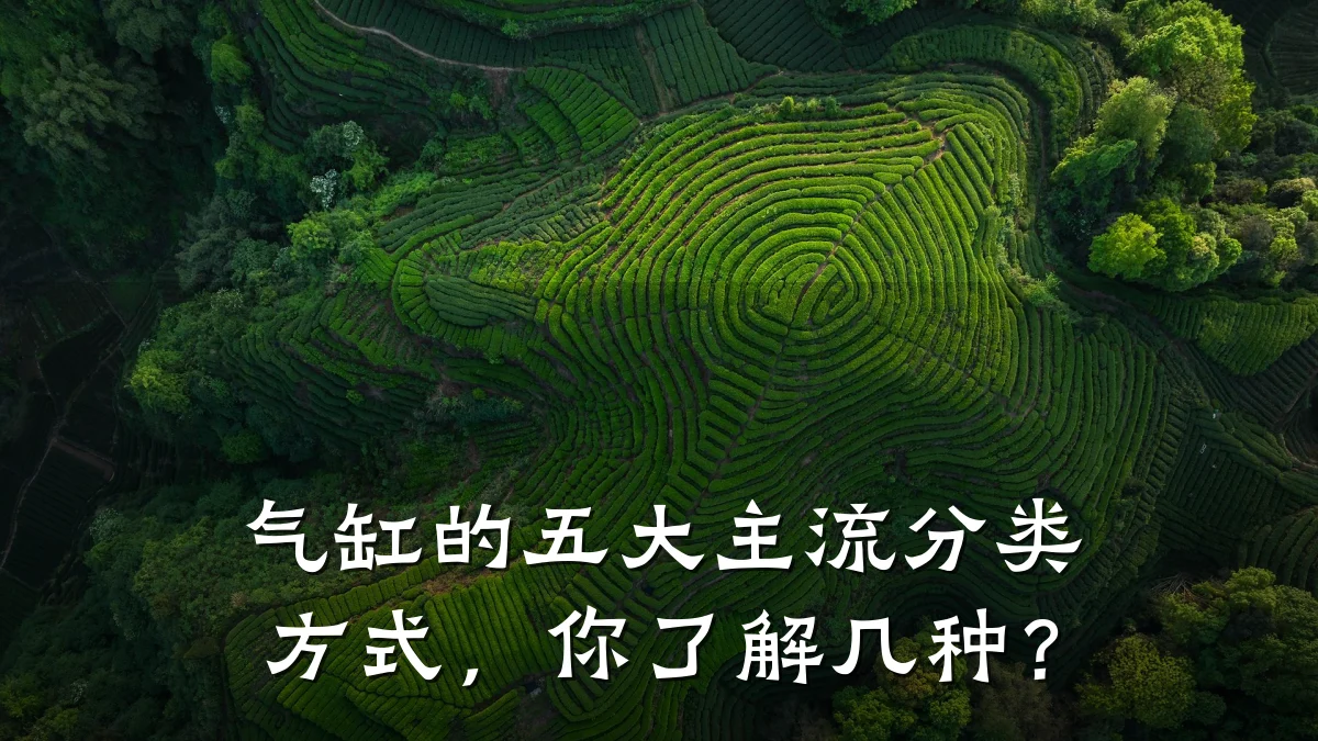 气缸的五大主流分类方式，你了解几种？