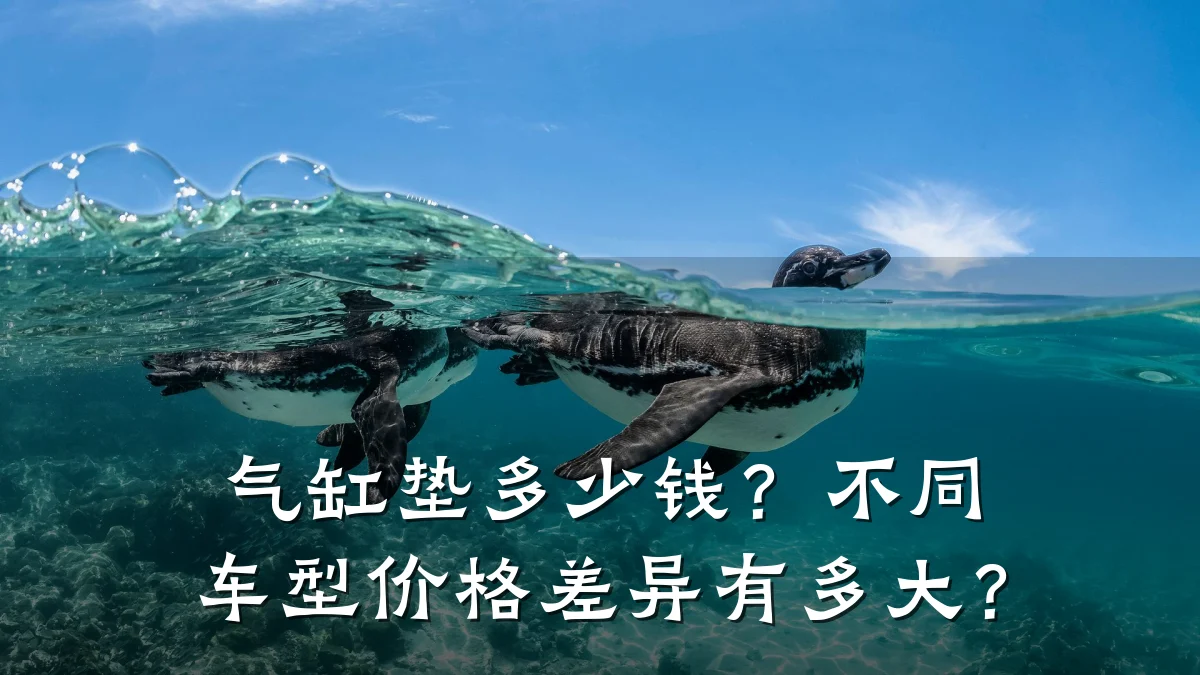 气缸垫多少钱？不同车型价格差异有多大？