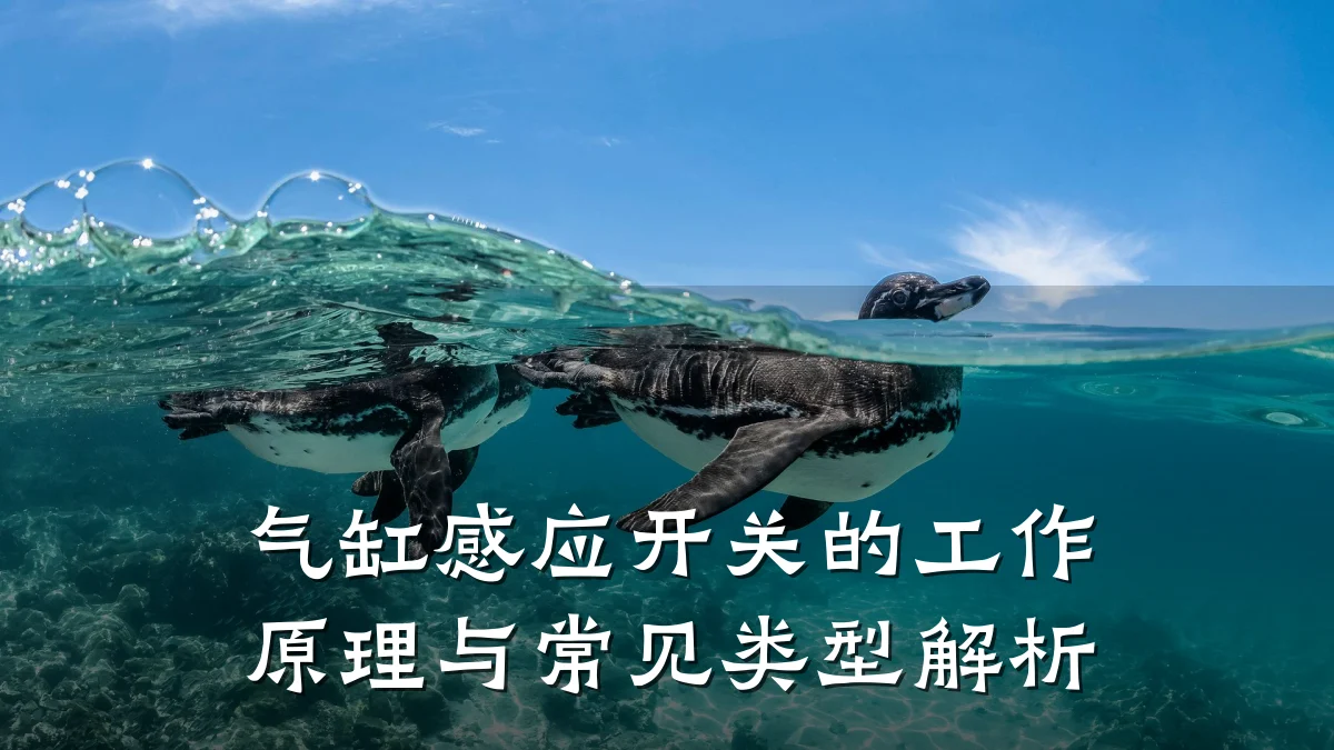 气缸感应开关的工作原理与常见类型解析