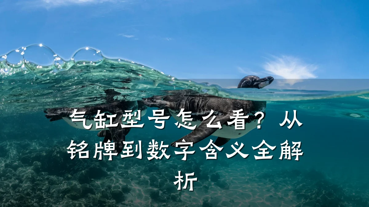 气缸型号怎么看？从铭牌到数字含义全解析