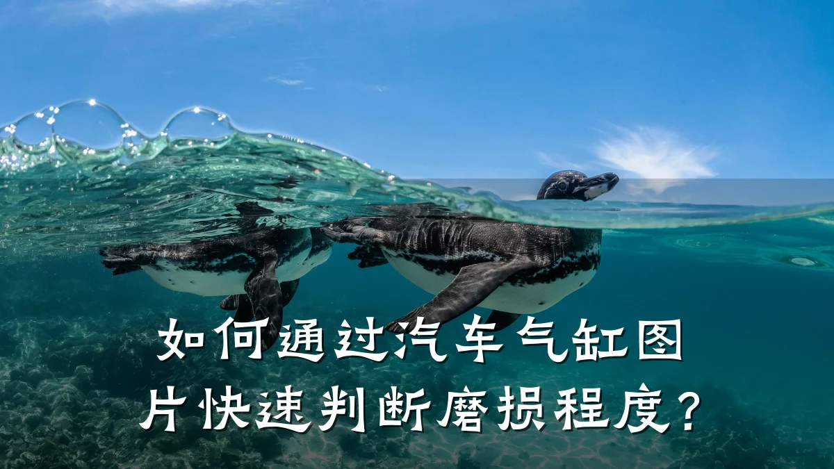 如何通过汽车气缸图片快速判断磨损程度？