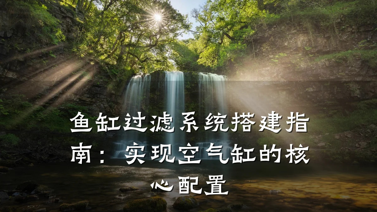 鱼缸过滤系统搭建指南：实现空气缸的核心配置