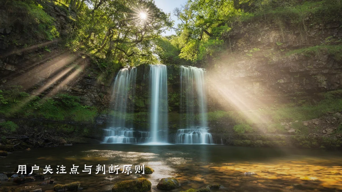用户关注点与判断原则