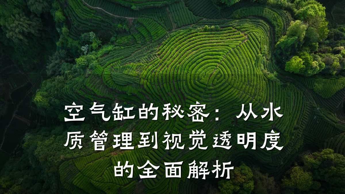 空气缸的秘密：从水质管理到视觉透明度的全面解析