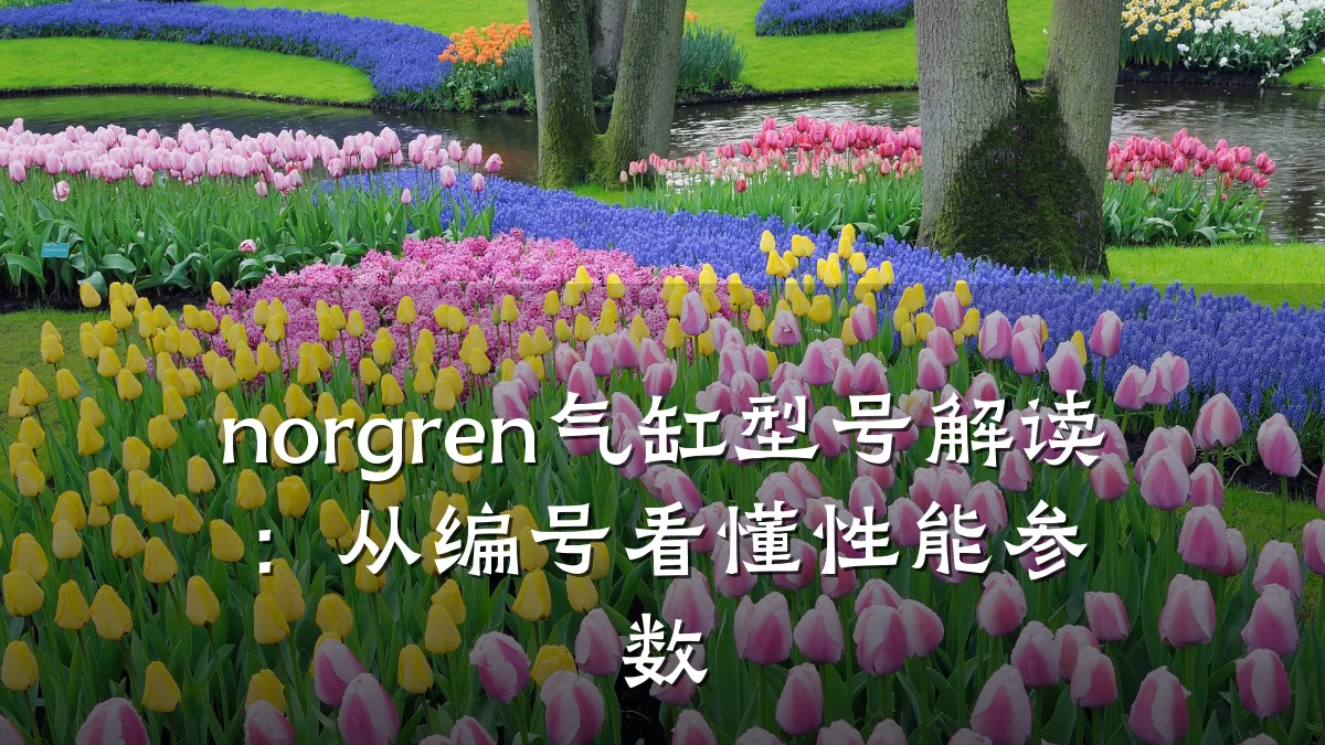 norgren气缸型号解读：从编号看懂性能参数