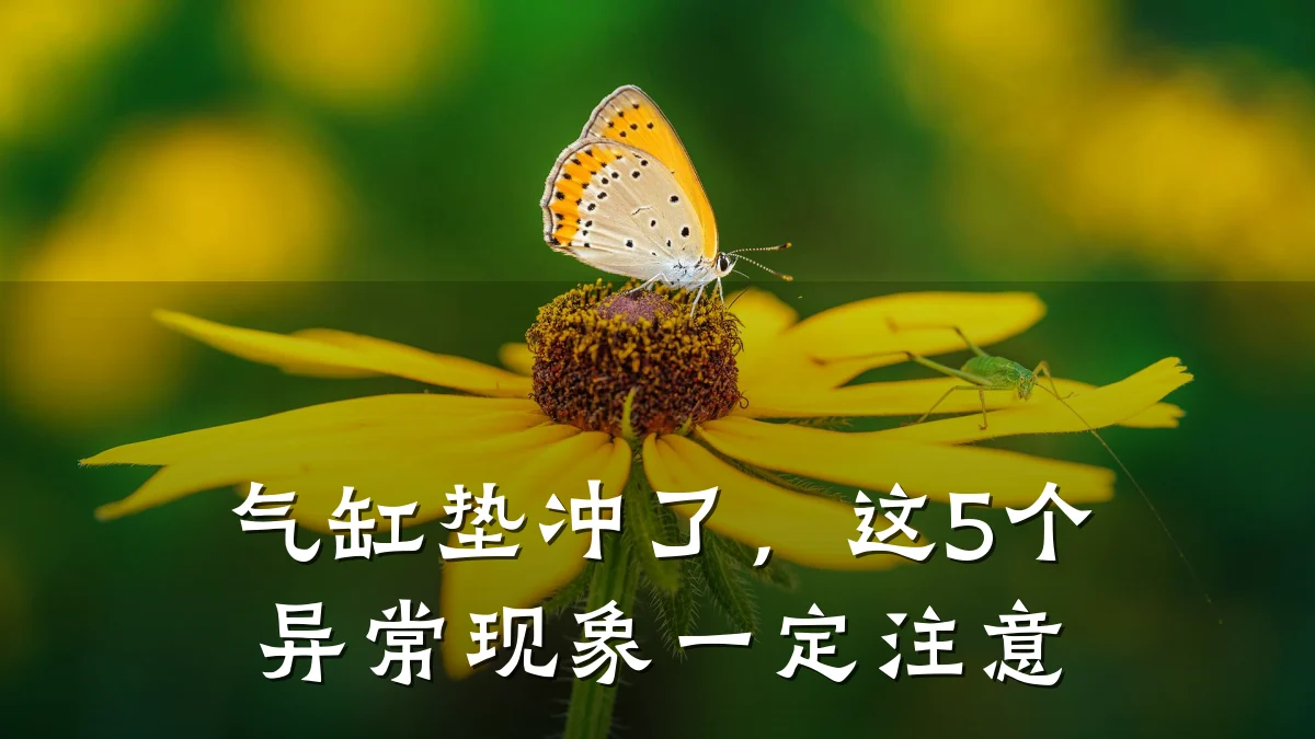 气缸垫冲了，这5个异常现象一定注意