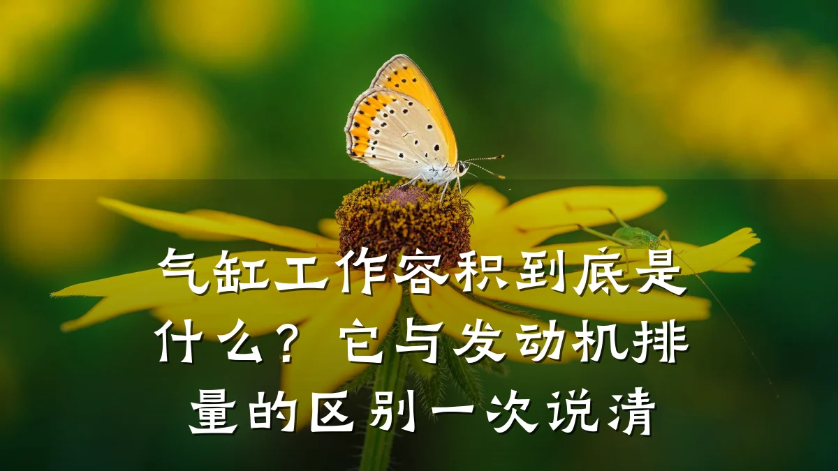 气缸工作容积到底是什么？它与发动机排量的区别一次说清