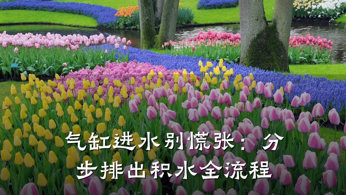 气缸进水别慌张：分步排出积水全流程