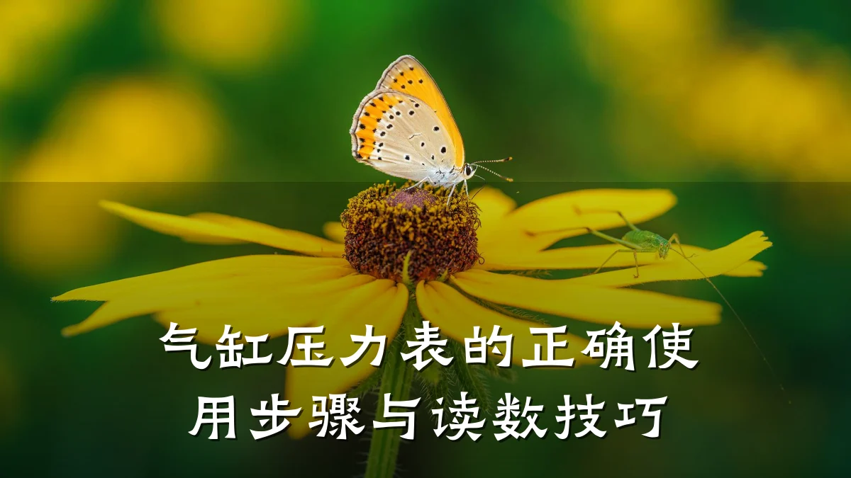气缸压力表的正确使用步骤与读数技巧