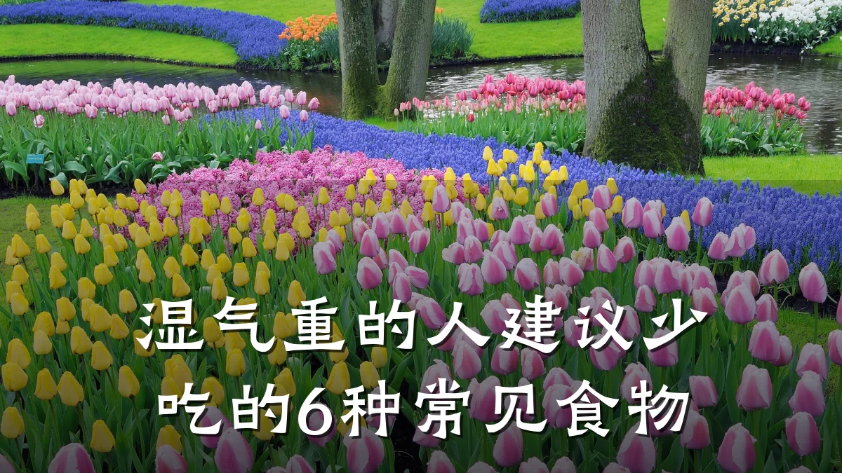湿气重的人建议少吃的6种常见食物