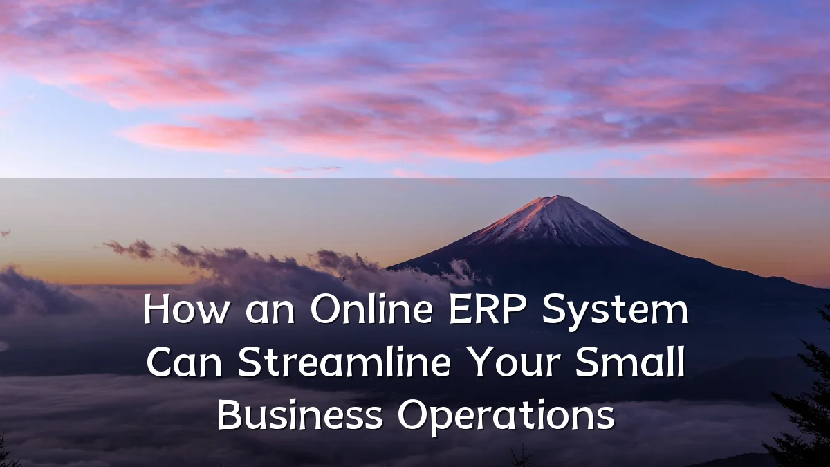 How an Online ERP System Can Streamline Your Small Business Operations